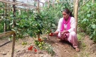 पहिला पैसा लिएर बजार गइन्थ्यो अहिले पैसा लिएर घर आउँछौँ
