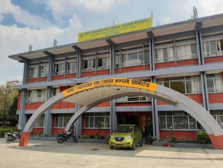 खाद्य कम्पनीको चामल खरिदमा चलखेल, भण्डारण गरिएको चामल गुणस्तरहीन
