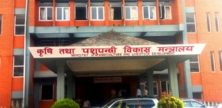 मल कारबाही प्रकरण स् ठेक्का रद्ध भए पनि कालोसूचीमा राख्न अलमल