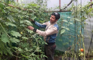 कृषि कर्ममा नगर कार्यपालिका सदस्य 