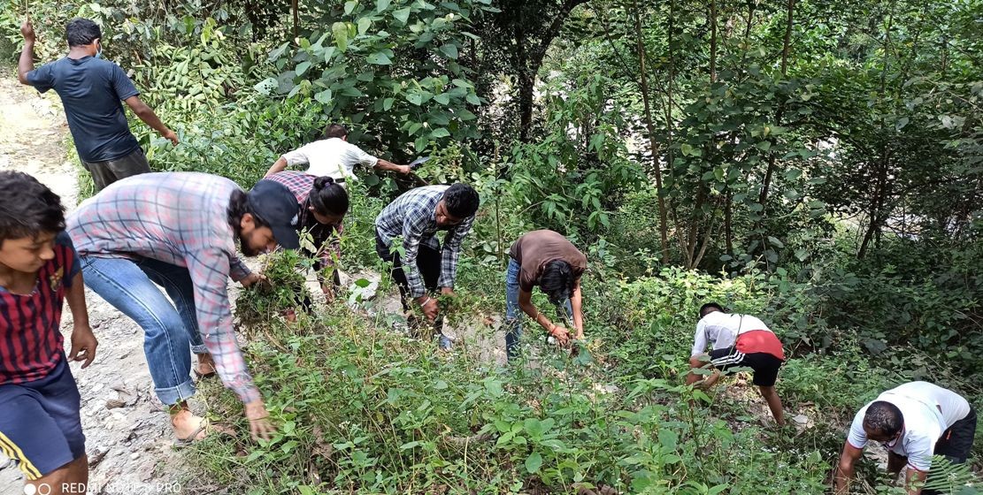 युवावर्ष प्राविदेखि मेवाखोला सम्मको बाटो मर्मत तथा टोलमा सरसफाइ