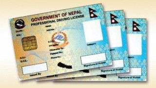 धान खेतमा फालिएको अवस्थामा फेला पर्‍यो स्मार्ट लाइसेन्स
