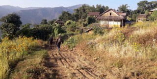सडक मर्मत गर्दै वडा कार्यालय 