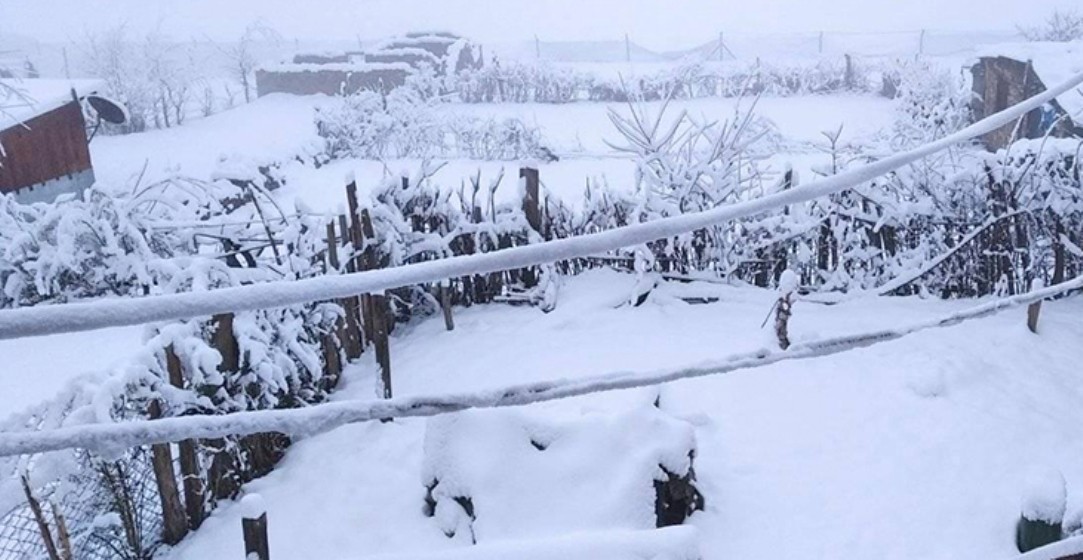 आज यी तीन प्रदेशको उच्च पहाडी तथा हिमाली भू-भागमा हल्का हिमपातको सम्भावना
