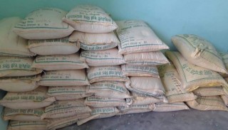 दिप्रुङ चुईचुम्मा गाउँपालिकामा उन्नत जातको मकैको बिउ वितरण गरिँदै