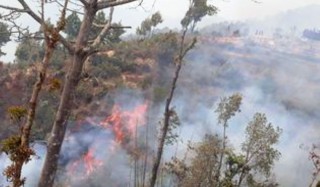 सुक्खा मौसम सुरु भएसँगै  खोटाङका विभिन्न ठाउँमा डढेलो