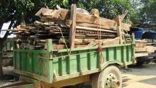 सखुवाको चिरानी काठ सहित सात जना प्रहरी नियन्त्रणमा 