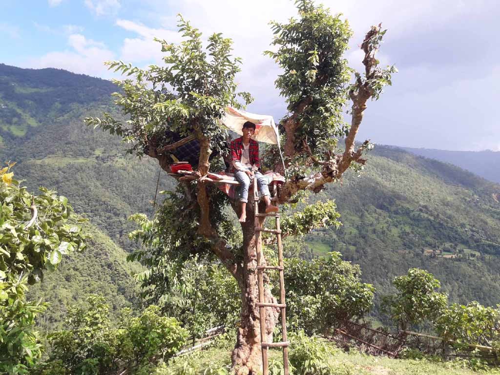 student on tree photo_khotang6.jpg