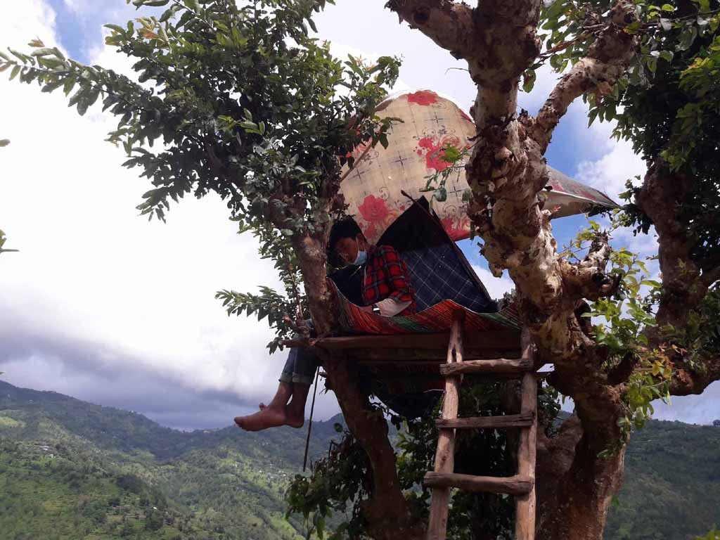 student on tree photo_khotang.jpg