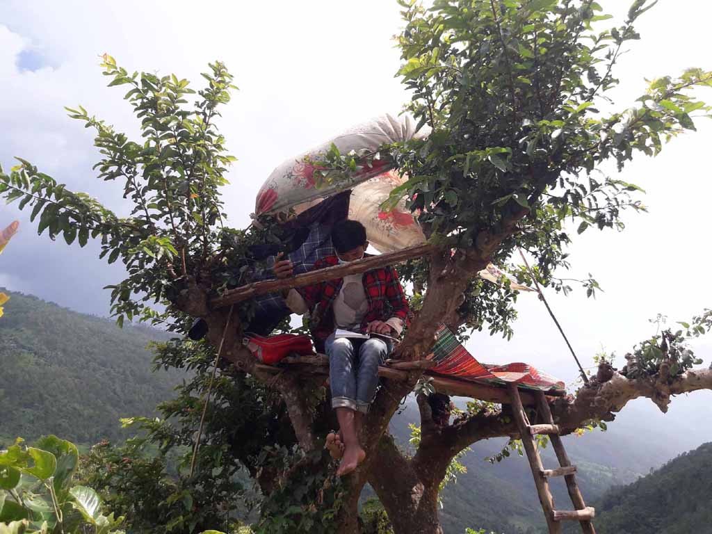student on tree photo_khotang1.jpg
