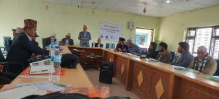 सिट्रस ग्रिनिङबाट सुन्तला जोगाउने विषयमा अन्तरक्रिया  