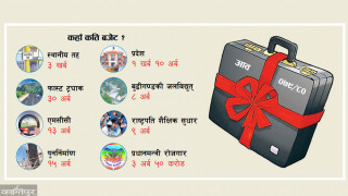 अर्थमन्त्री शर्माले आज संसदमा बजेट प्रस्तुत गर्दै