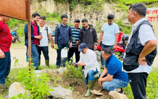 सडक किनारामा वृक्षारोपण कार्य सुरु