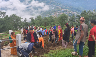 दिक्तेल नगरपालिकाले रोप्यो  १५ हजार फूलका विरुवा
