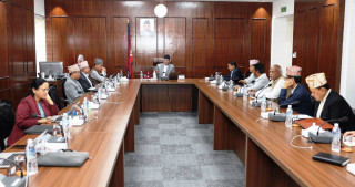 संविधान दिवसमा विभूषण घोषणा नगर्ने  मन्त्रिपरिषद्को निर्णय, अध्ययनका लागि कार्यदल गठन गर्ने