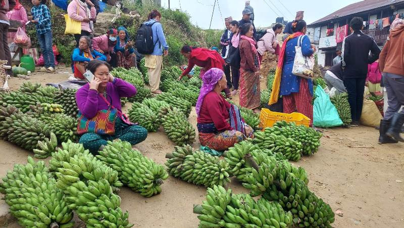 खोटाङको दिक्तेलमा लाग्ने शनिवारे हाटमा बिक्रीका लागि राखिएका केरा तथा खसीहरु (फोटो फिचर)