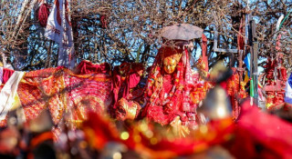 नवरात्र आरम्भसँगै पाथीभरा मन्दिरमा भक्तजनको घुइँचो