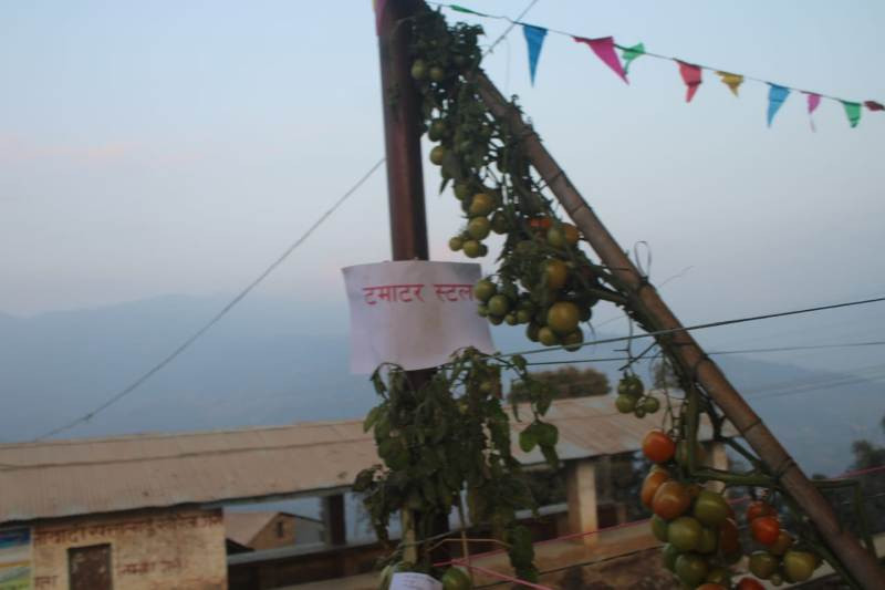 दिक्तेलमा शुरु भएको   दुईदिने कृषि मेला प्रदर्शनीमा राखिएका कृषि उपज सामग्रीहरु ।  (फोटो फिचर)