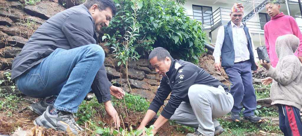 विश्व वातावरण दिवसको अवसरमा खोटाङमा वृक्षारोपण