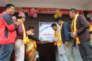 किसानको सहजताको लागि नगरपालिकाद्वारा दूध डेरी सञ्चालन
