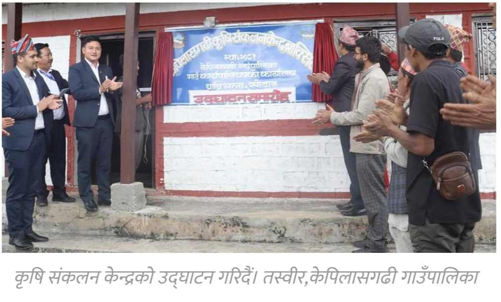 केपिलासगढी गाउँपालिकामा कृषि संकलन केन्द्र स्थापना