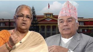 प्रतिनिधिसभा विघटन, फागुन २१ गते चुनाव घोषणा