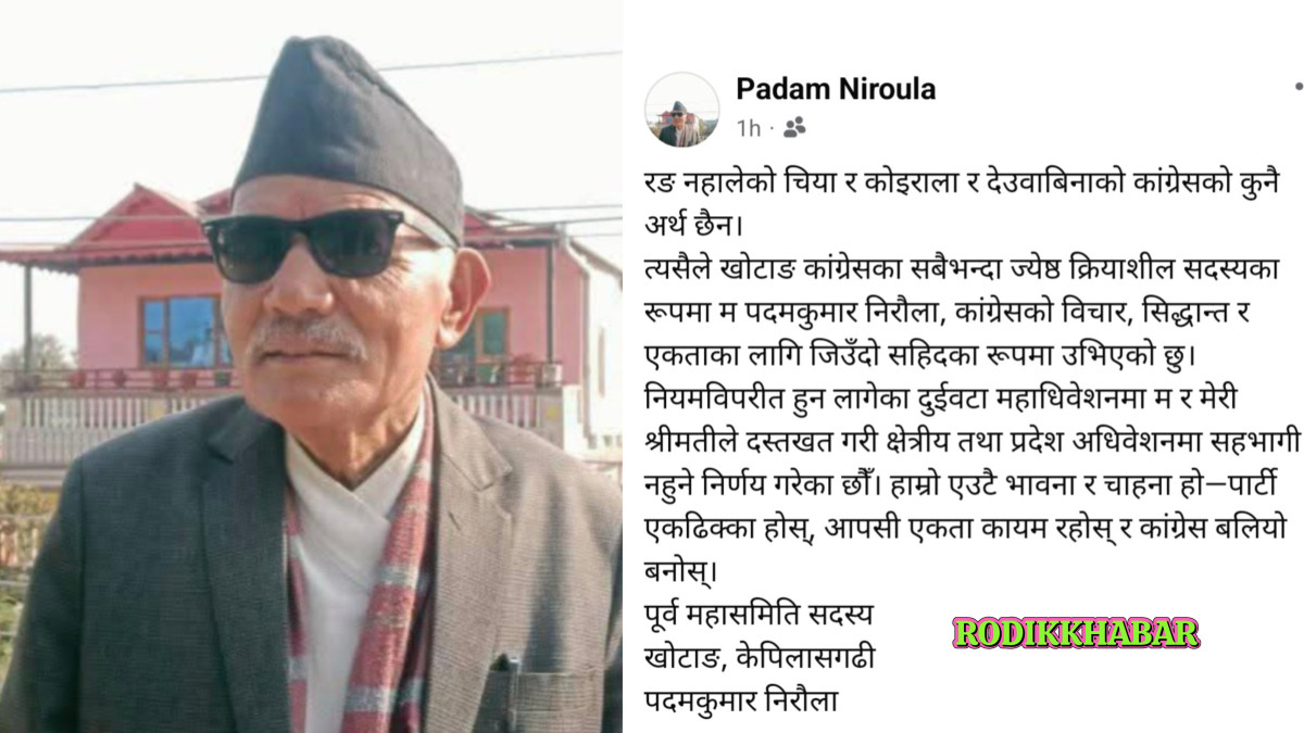 रङ नहालेको चिया र कोइराला, देउवाबिनाको कांग्रेसको कुनै अर्थ छैन :   निरौला